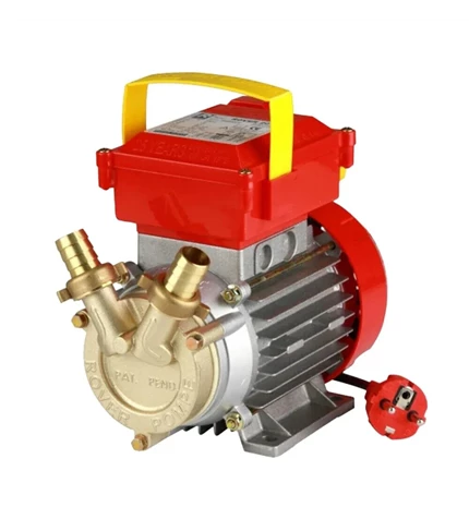 PUMPA ELEKTRIČNA ROVER BE/CE-25