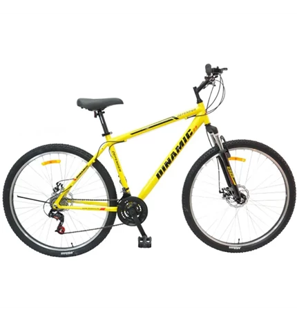 BICIKL 29" DINAMIC DEFENDER 21BR DISC