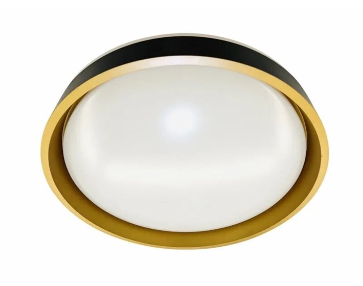 PLAFONJERA LED GABRIELA PVC D390 24W