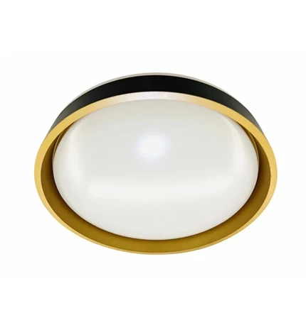 PLAFONJERA LED GABRIELA PVC D390 24W