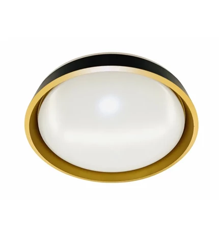 PLAFONJERA LED GABRIELA PVC D390 24W