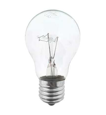 ŽARULJA SA ŽARNOM NITI 200 W, A70, E27, 2700 K