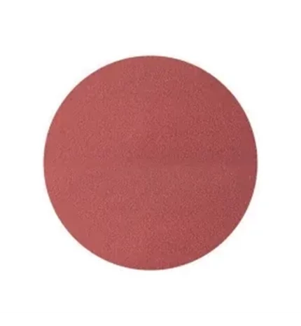 DISK BRUSNI SAMOLJEPLJ. K120 125
