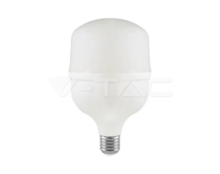 ŽARULJA LED 30W E27 T100 6500K