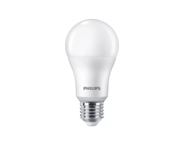 ŽARULJA LED COREPRO A60 E27 13-100W 4000K MAT