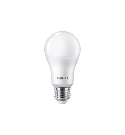 ŽARULJA LED COREPRO A60 E27 13-100W 4000K MAT