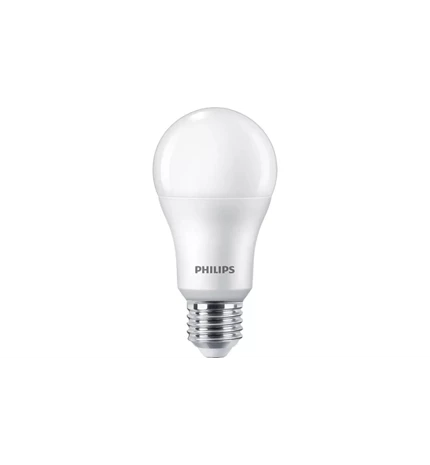 ŽARULJA LED COREPRO A60 E27 13-100W 6500K MAT