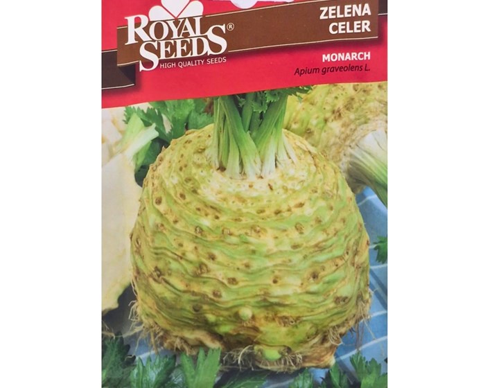 SJEME CELER KORIJENAŠ MONARCH ROYAL