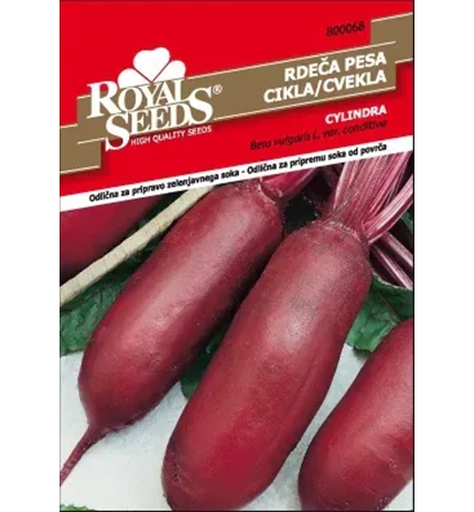 SJEME CIKLA CYLINDRA ROYAL