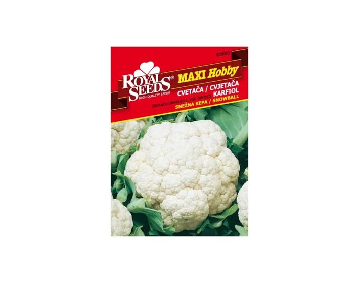 SJEME CVJETAČA SNOWBALL ROYAL