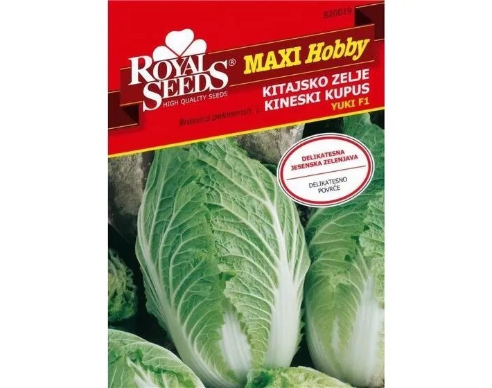SJEME KUPUS KINESKI YUKI ROYAL