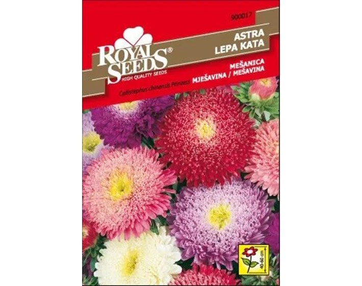 SJEME LIJEPA KATA PRINCES ROYAL
