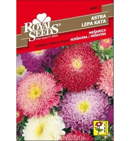 SJEME LIJEPA KATA PRINCES ROYAL