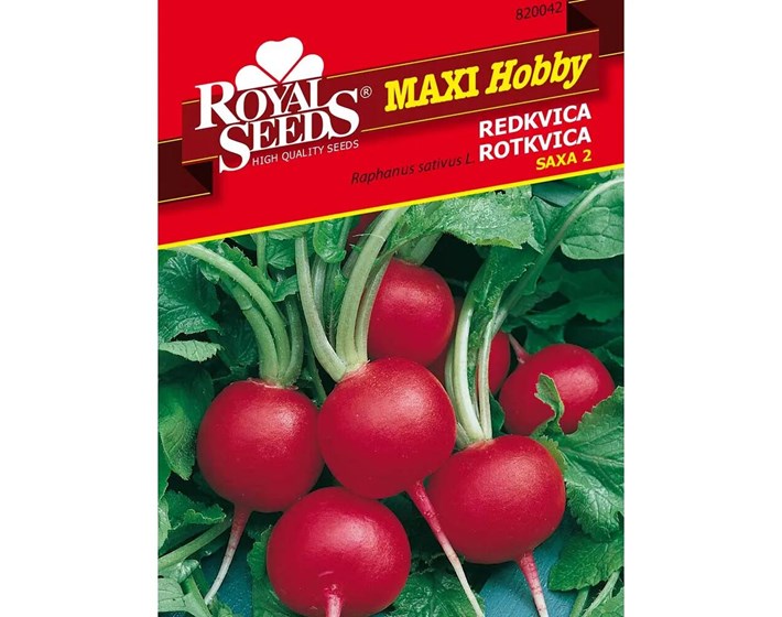 SJEME ROTKVICA SAXA NON PLUS ULTRA ROYAL