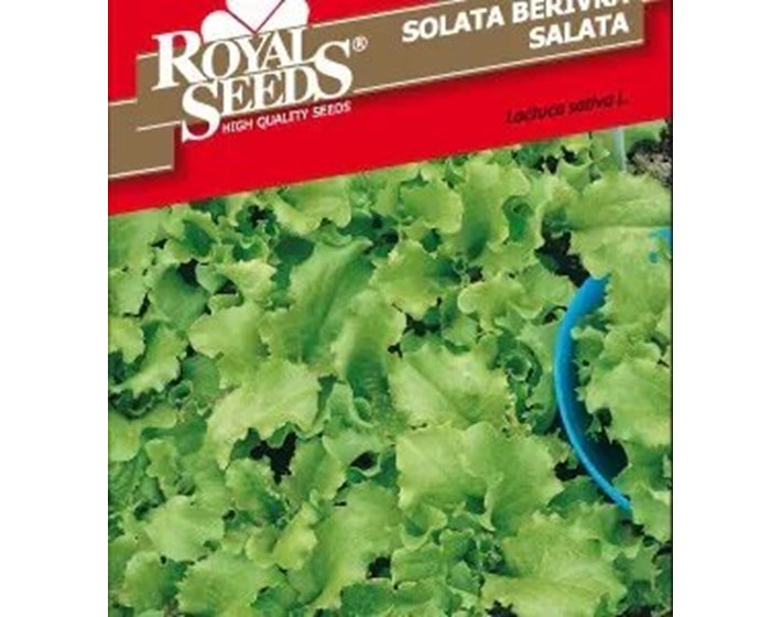 SJEME SALATA BERIVKA ROYAL