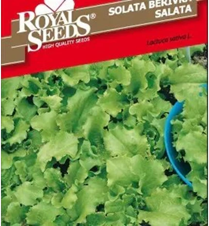 SJEME SALATA BERIVKA ROYAL