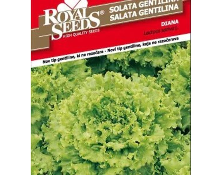 SJEME SALATA GENTILINA DIANA ROYAL