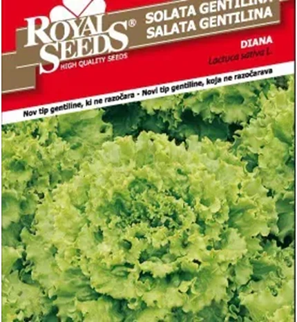 SJEME SALATA GENTILINA DIANA ROYAL