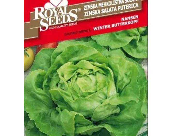 SJEME SALATA NANSEN ROYAL