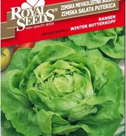 SJEME SALATA NANSEN ROYAL