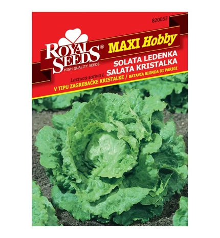 SJEME SALATA ZAGREBAČKA KRISTALKA ROYAL