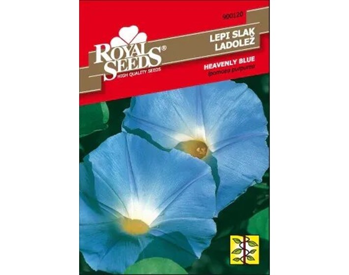 SJEME UKRASNI SLAK HEAVENLY BLUE ROYAL