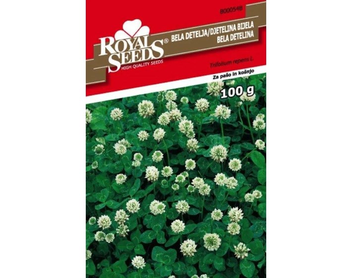 SJEME BIJELA DJETELINA 100G ROYAL