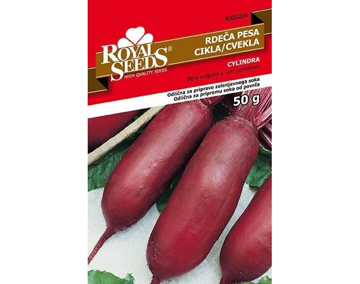 SJEME CIKLA CYLINDRA 50G ROYAL
