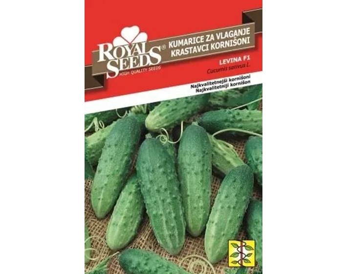 SJEME KRASTAVAC LEVINA F1 25G ROYAL