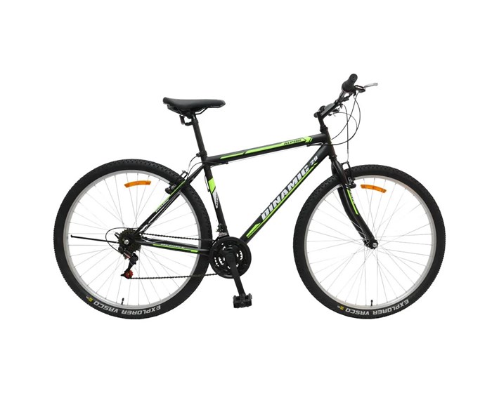 BICIKL 29" DINAMIC ALPINE 21BR