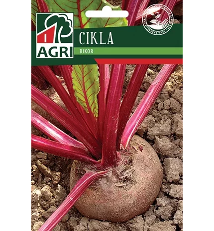 SJEME CIKLA BIKOR