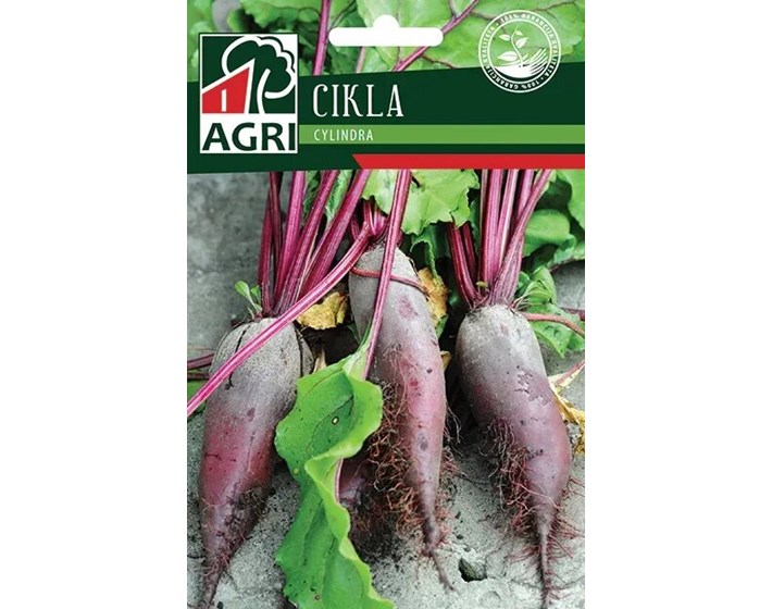 SJEME CIKLA CYLINDRA