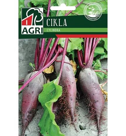 SJEME CIKLA CYLINDRA