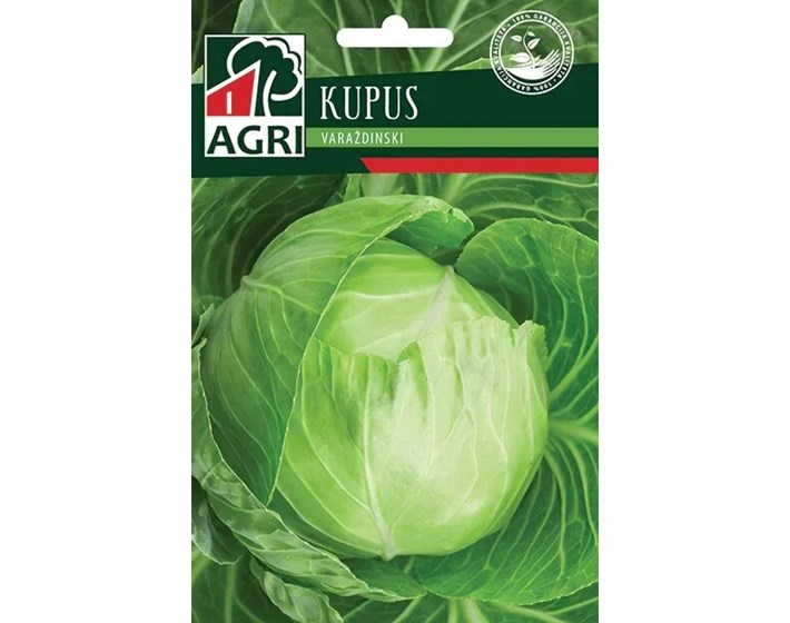 SJEME  KUPUS VARAŽDINSKI
