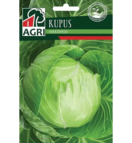 SJEME  KUPUS VARAŽDINSKI