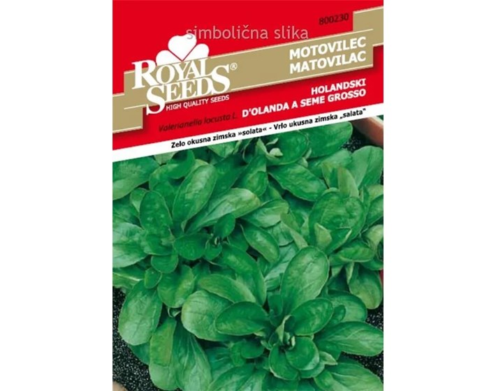 SJEME MATOVILAC HOLANDSKI 25 g ROYAL