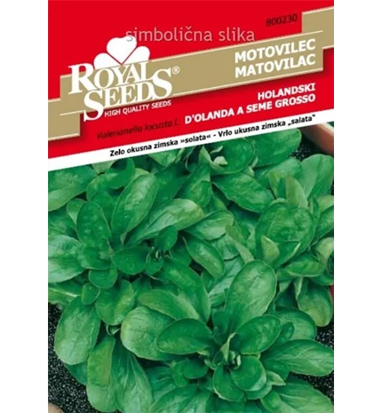 SJEME MATOVILAC HOLANDSKI 25 g ROYAL