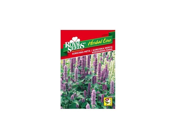 SJEME KOREJSKA MENTA ROYAL HERBAL LINE 02
