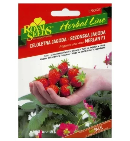 SJEME JAGODA MERLAN F2 ROYAL HERBAL LINE 27