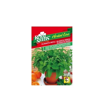 SJEME KLASATA MENTA ROYAL HERBAL LINE 30