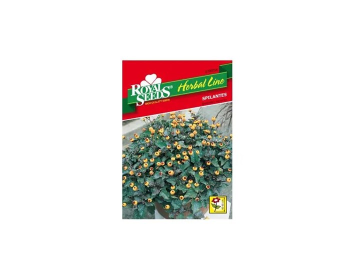 SJEME SPILANTES ROYAL HERBAL LINE 54