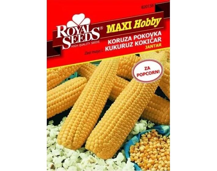 SJEME KUKURUZ KOKIČAR JANTAR ROYAL MAXI HOBBY 156
