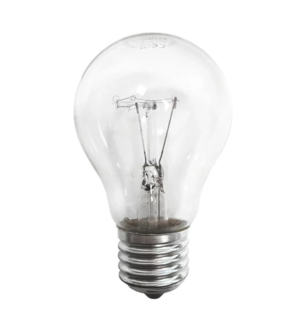 ŽARULJA SA ŽARNOM NITI 40 W, A55, E27, 2700 K