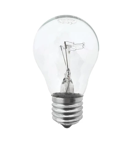 ŽARULJA SA ŽARNOM NITI 60 W, A55, E27, 2700 K